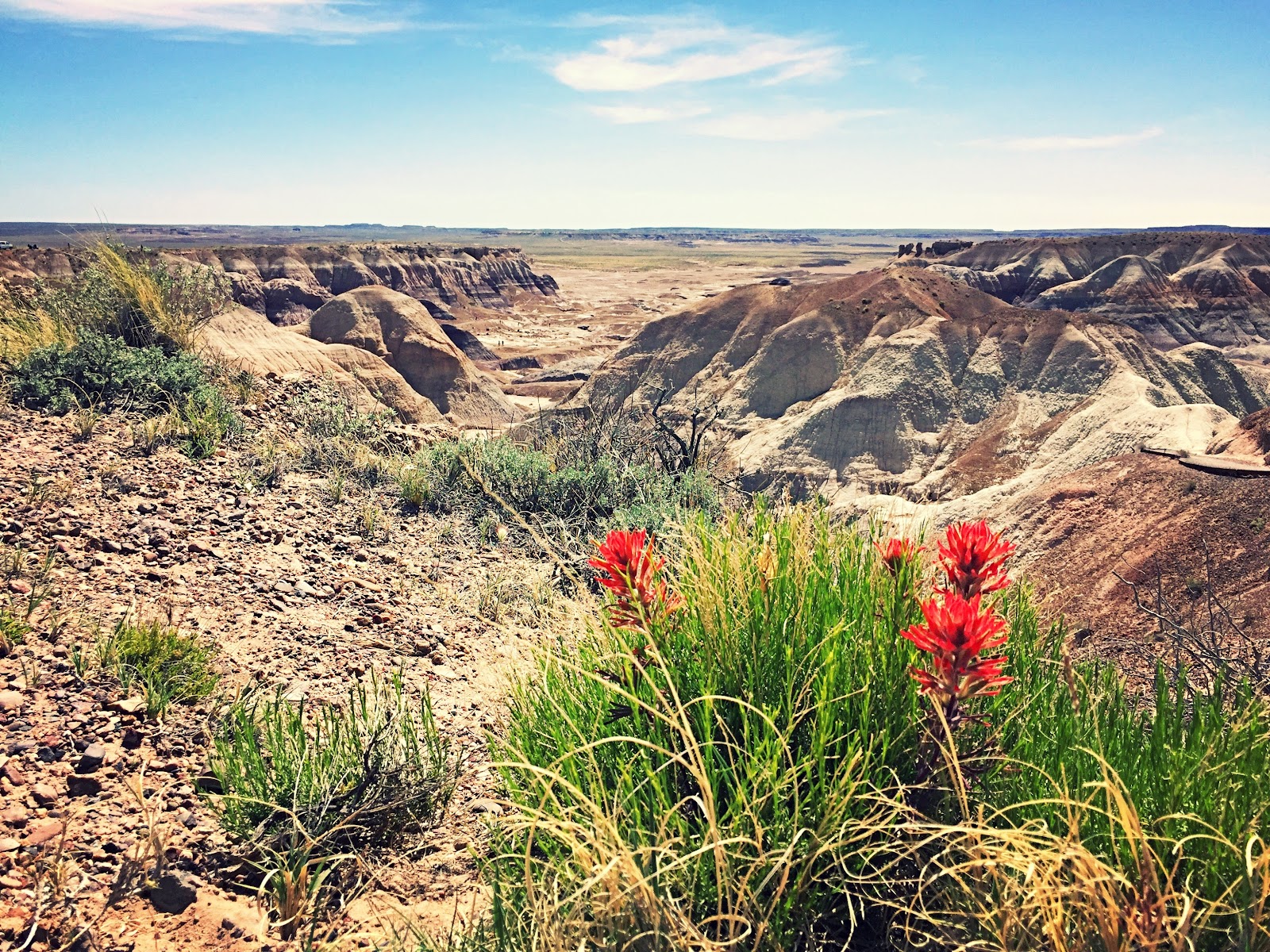 7. ajopäivä Albuquerque Holbrook ROUTE 66 ROAD TRIP