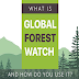What Is Global Forest Watch and How Do You Use It? #infographic