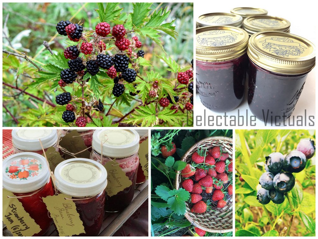 Delectable Victuals Apricot Strawberry Blackberry Jam Cookies
