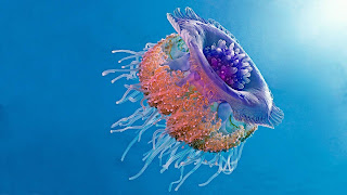 http://www.allfiveoceans.com/2016/10/what-do-jellyfish-eat.html
