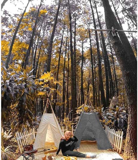 12 Tempat Wisata Di Sentul Yang Menarik, Murah & Terhits ...