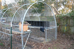 coop urban chicken frame greenhouse permaculture farm low hen architecture cost living proof plants basic simple songer kevin foodfare warfare