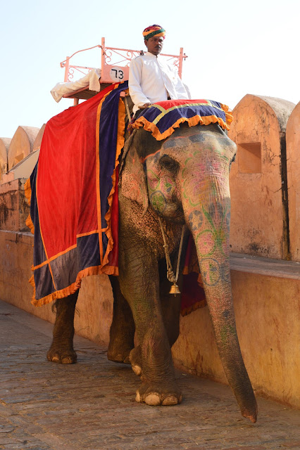 Elephants au fort d'Amber