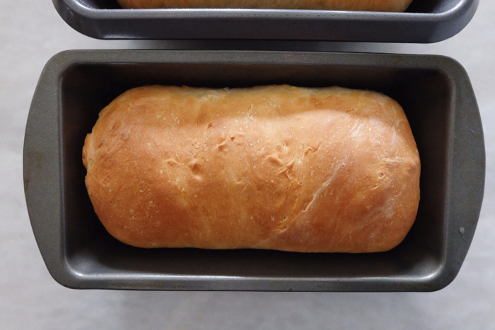 freshly baked loaf of bread
