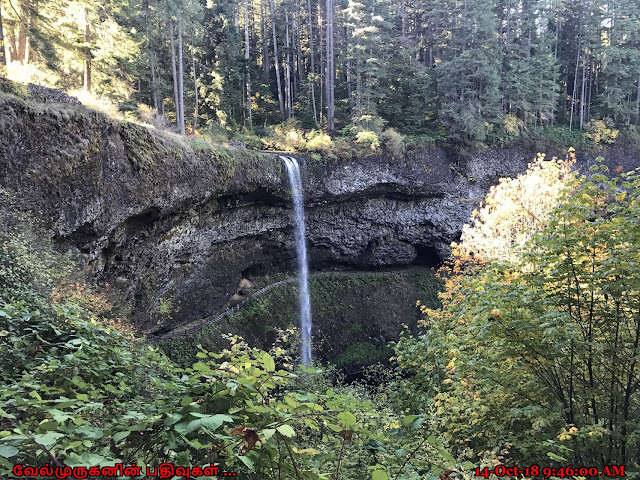 South Falls Oregon