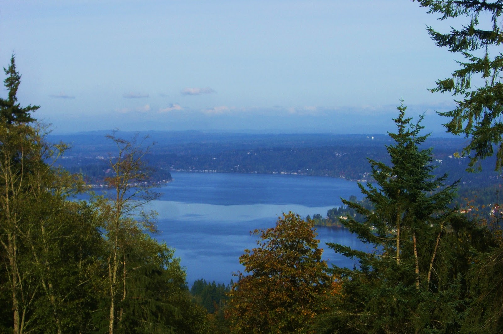 Around Puget Sound and Beyond: Hiking -- Cougar Mountain -- Issaquah, WA