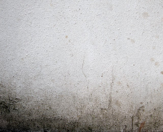 Dirty Wall Plaster