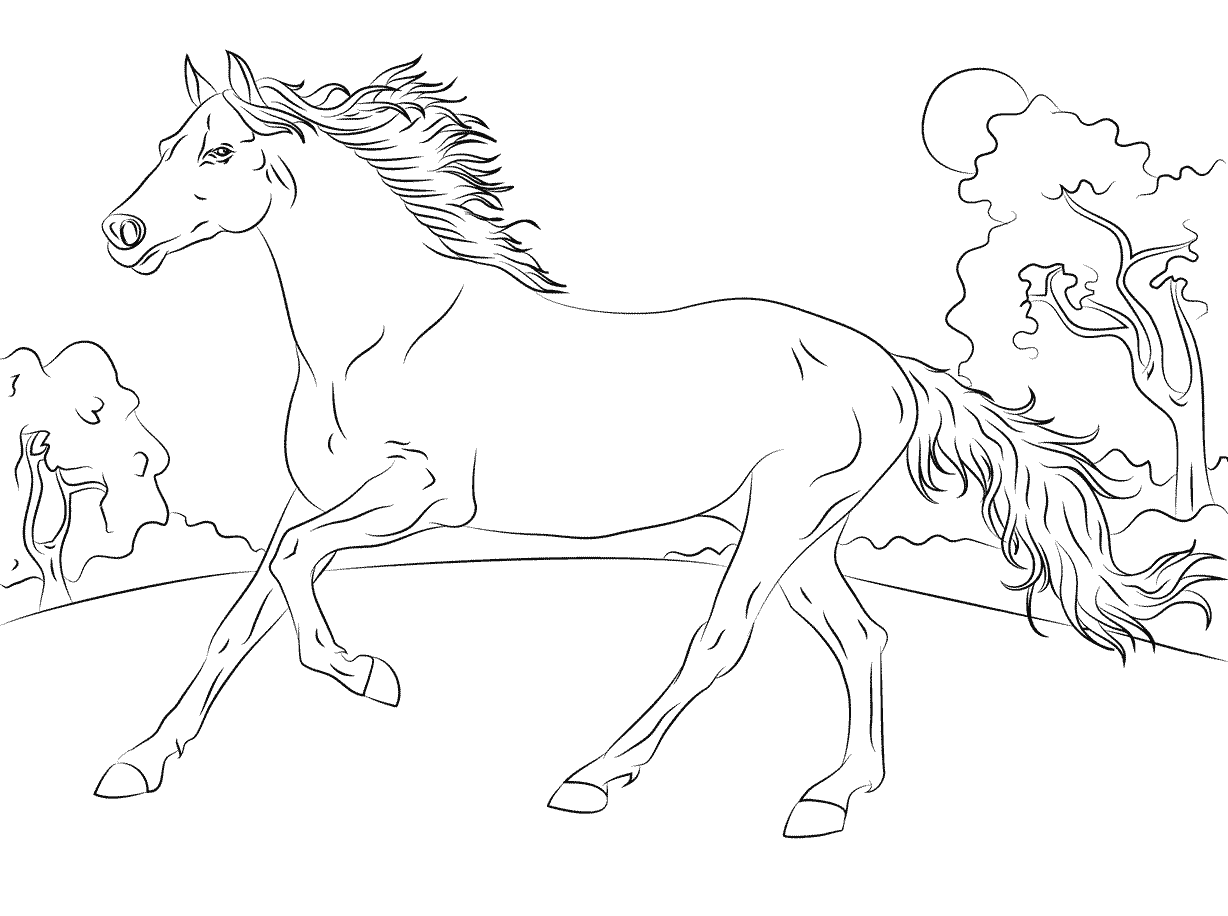 Arabian Horse Coloring Page - Free Printable Coloring Pages for Kids
