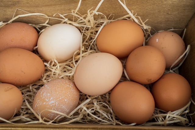 Benefits of egg