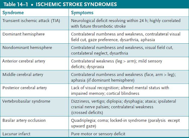 ischemic stroke syndromes