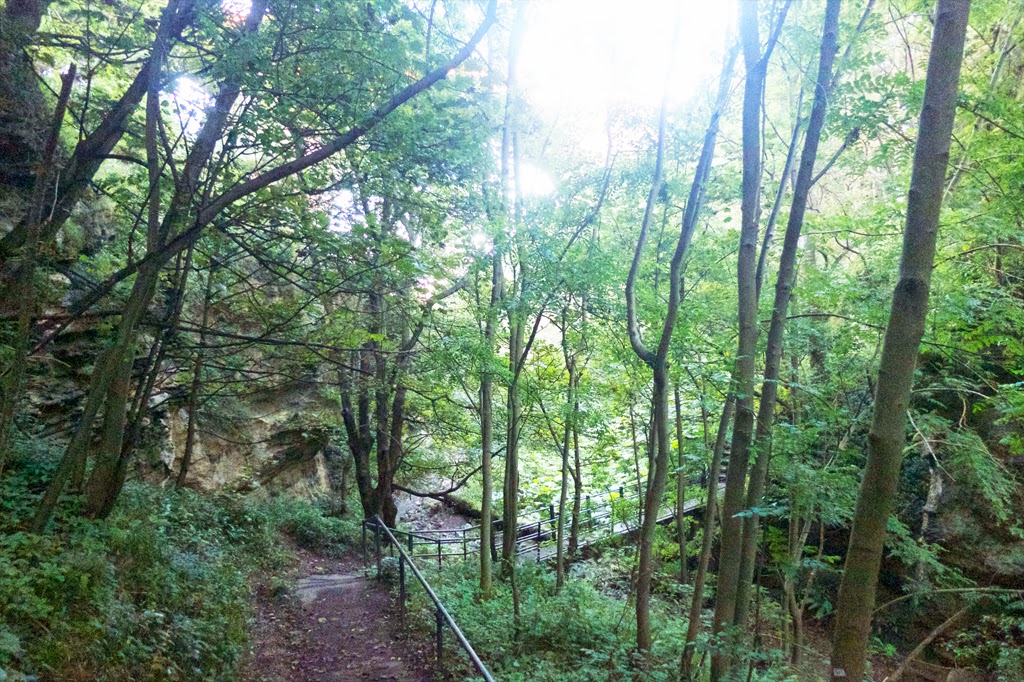 Hawthorn Dene, Seaham Coast Walk, County Durham