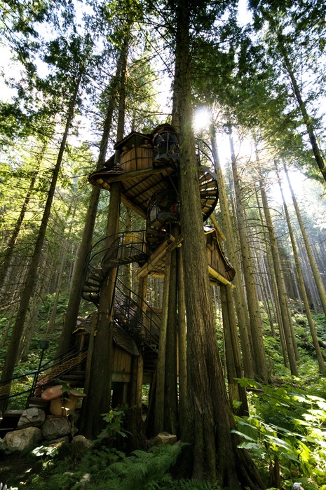 Pictures of Tree Houses and Play Houses From Around The World, Plans ...
