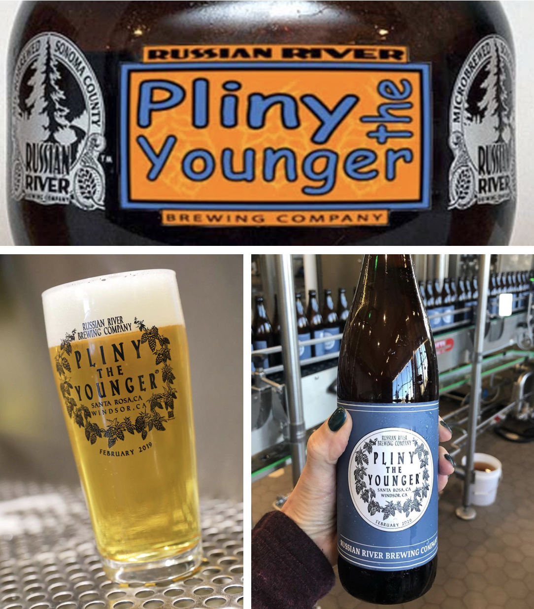 SanDiegoVille Pliny Watch 2020 Where In San Diego To Find Pliny The