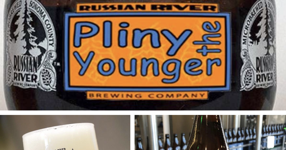 SanDiegoVille Pliny Watch 2020 Where In San Diego To Find Pliny The