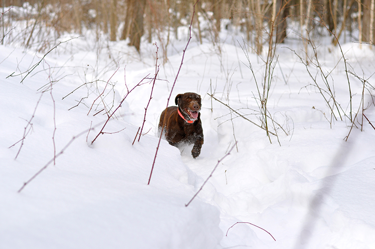 Winter | My Darling Days Winter | My Darling Days