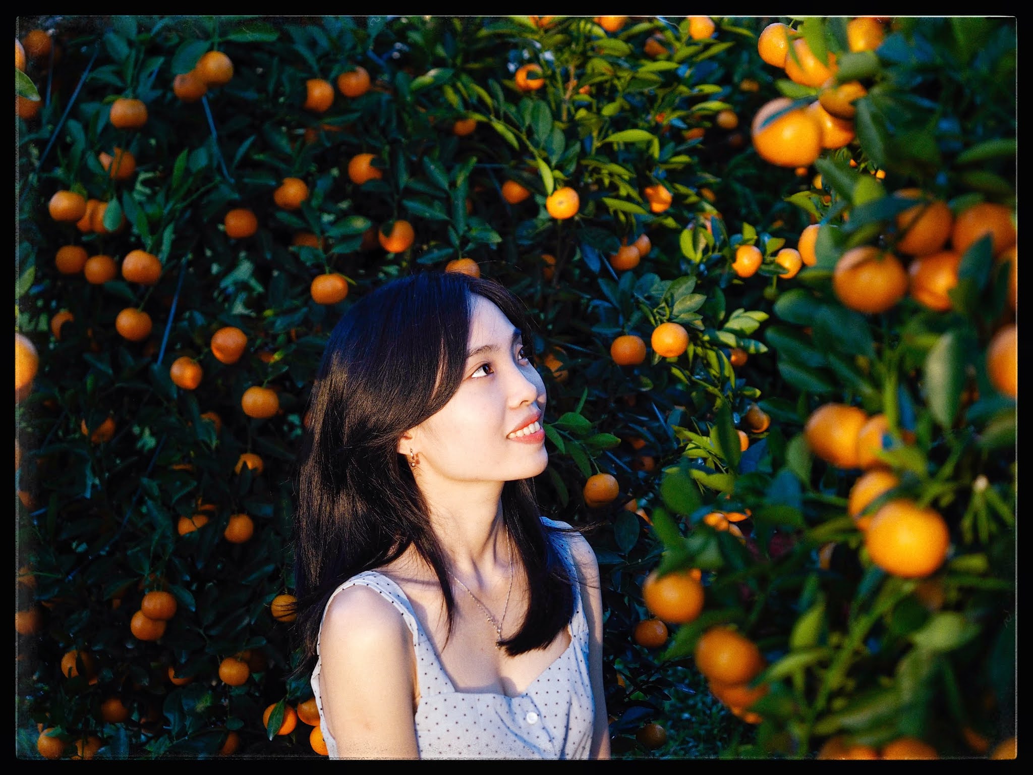 Báo Giá Chụp Ảnh Ngoại Cảnh Hội An - Photographer: Khôi Trần Báo Giá Chụp Ảnh Ngoại Cảnh Hội An - Photographer: Khôi Trần