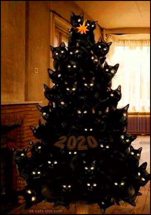 ARTistic Cat GIF • OMG! 35 flashing black cats in the Christmas tree 2020. Purrfect Xmas ornament for Crazy cat Lovers ARTistic Cat GIF • OMG! 35 flashing black cats in the Christmas tree 2020. Purrfect Xmas ornament for Crazy cat Lovers