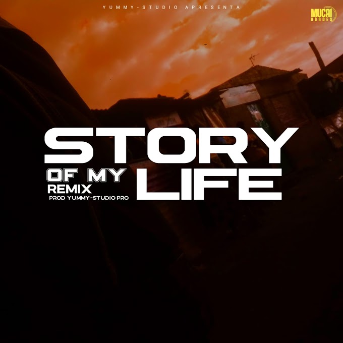 Berd-Man - Story of my life (remix)