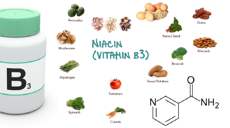 Грибы есть витамины. Витамин б3 ниацин. Ниацин витамин в3. Действие витамина б3. Норма витамина в3.