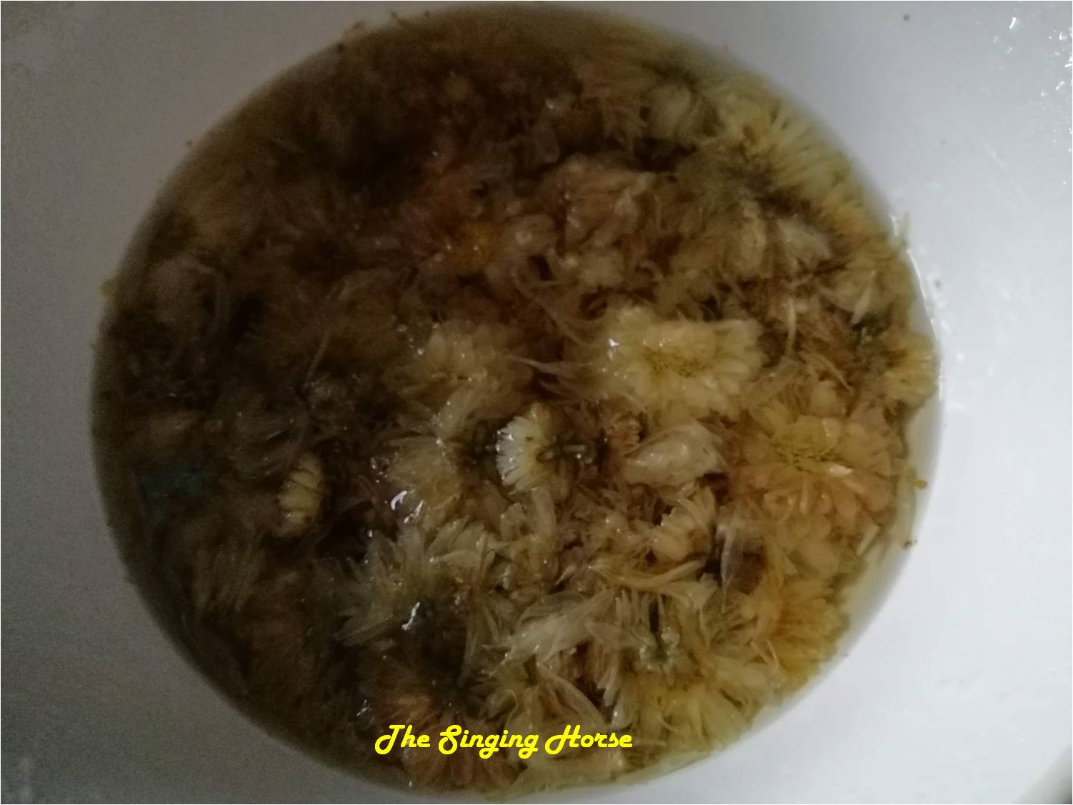 East Asian Chrysanthemum Tea Jelly with Goji Berries (菊花杞子糕)