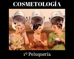 cosmetología peluquería