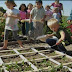This Is Why Children Should Learn How To Grow Food As Part Of Their Schooling