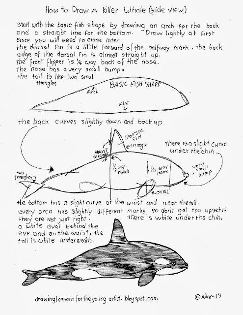 How to Draw Worksheets for The Young Artist: How To Draw An Orca Killer
