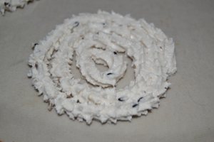 Vaniensamayalarai: Magilampoo Murukku