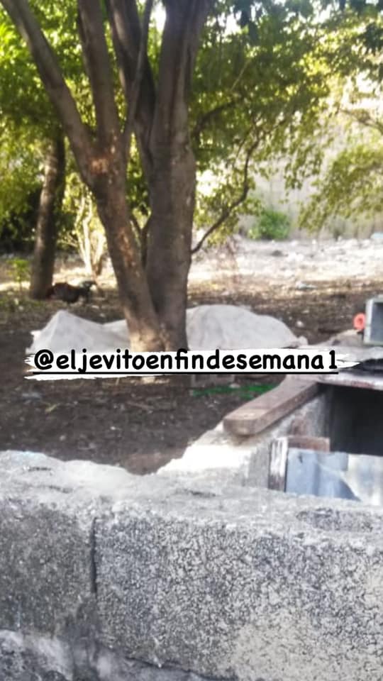 En el patio de su casa Bani Noticias del Campo