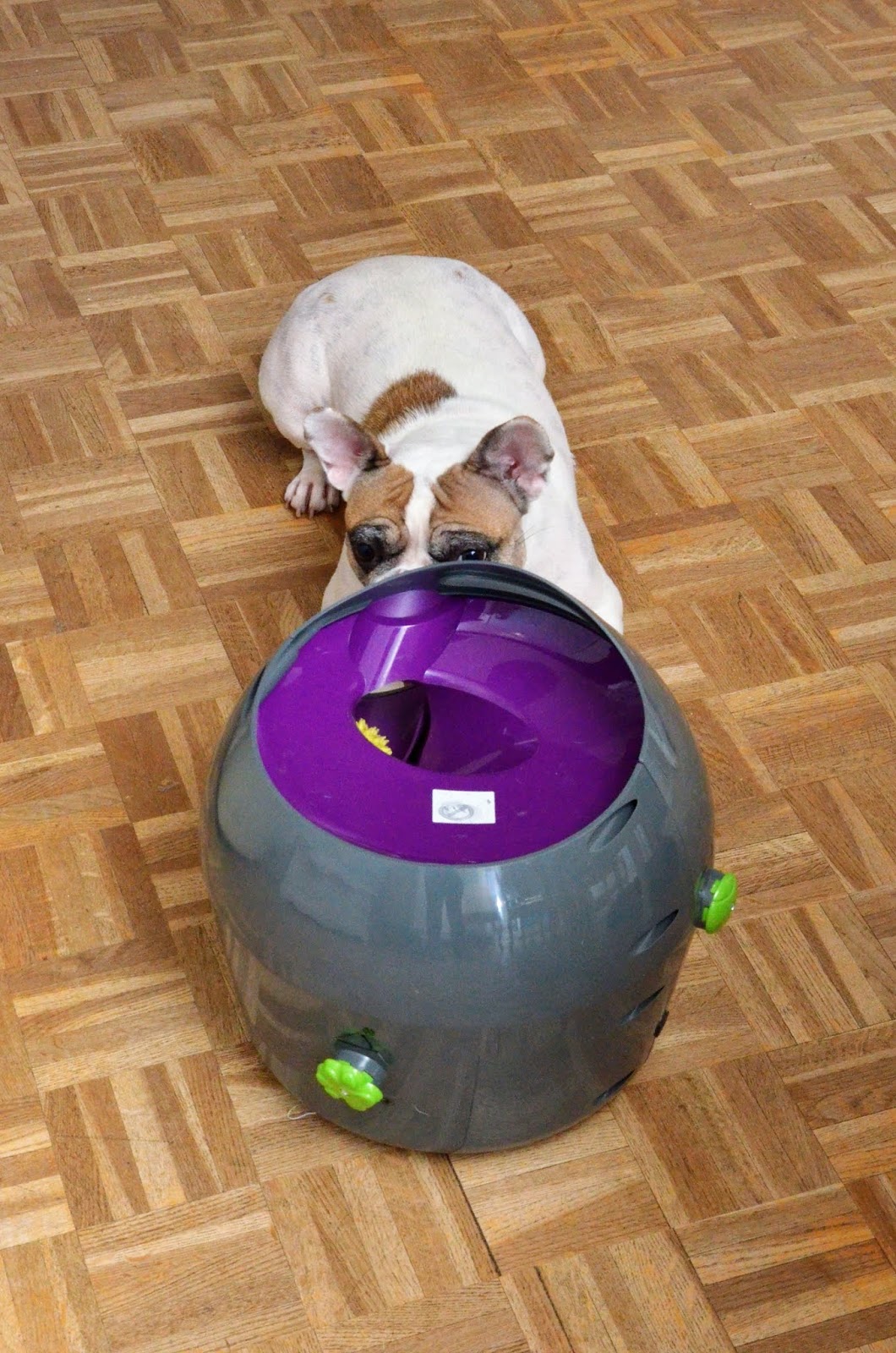 Test et avis sur le lanceur