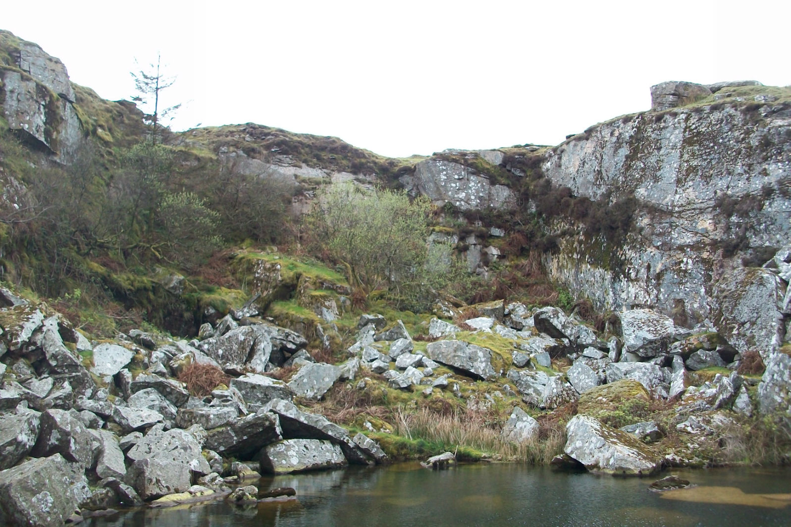 Creative Gland - Ideas, tips and thoughts for design & illustration:  Photo's from Gold Digging's Quarry on Bodmin Moor