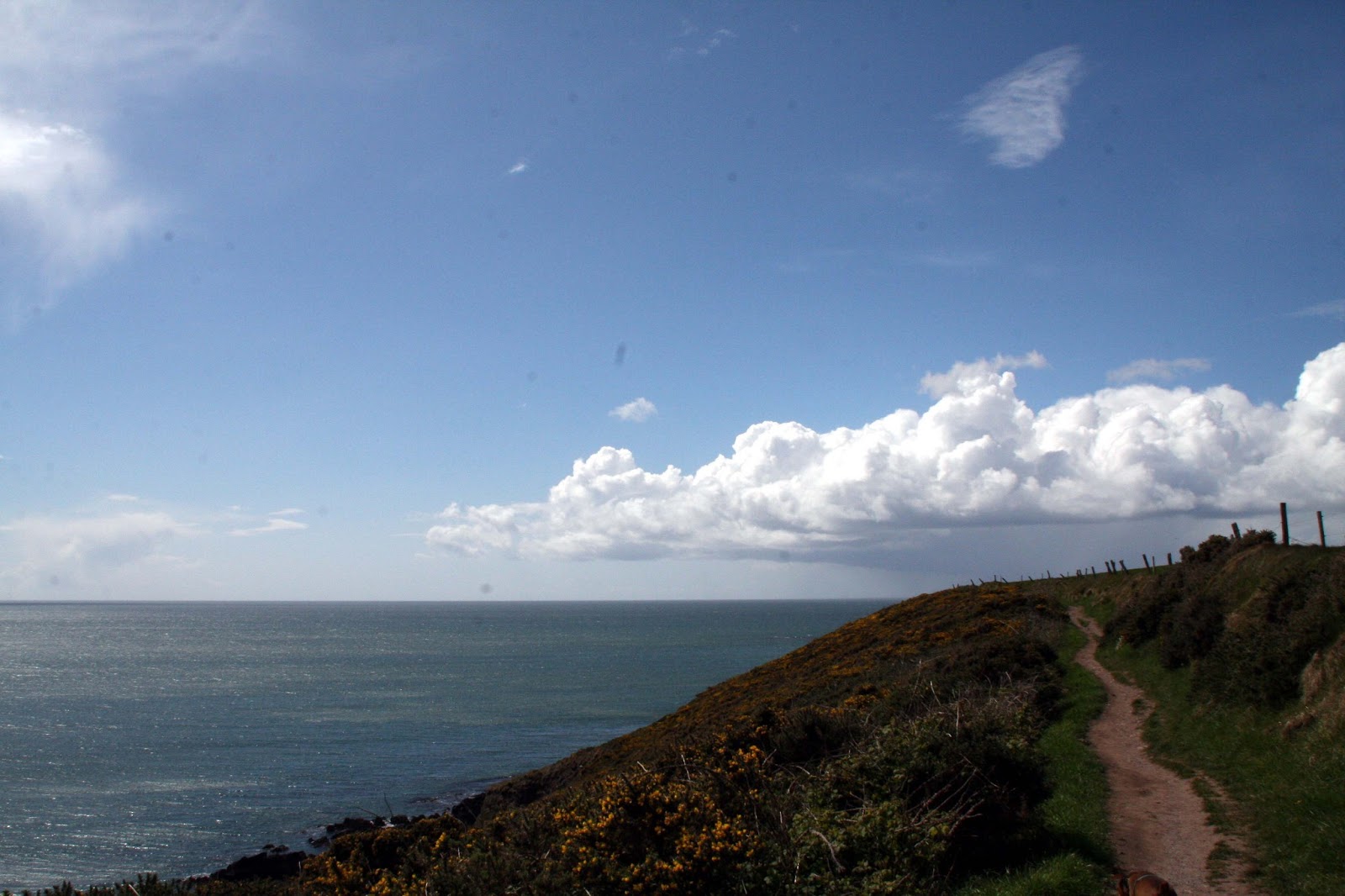 East Cork. Well Worth A Visit!