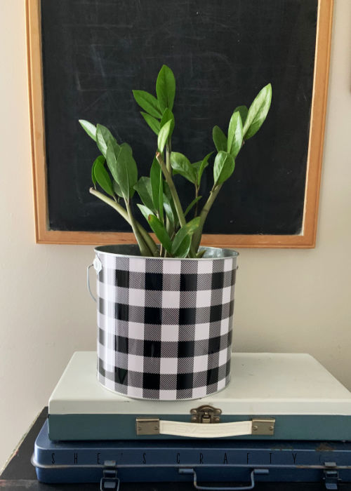 She's Crafty: Unique House Plant Containers from the Thrift Store