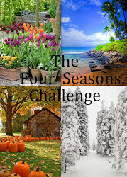 The Four Seasons Challenge