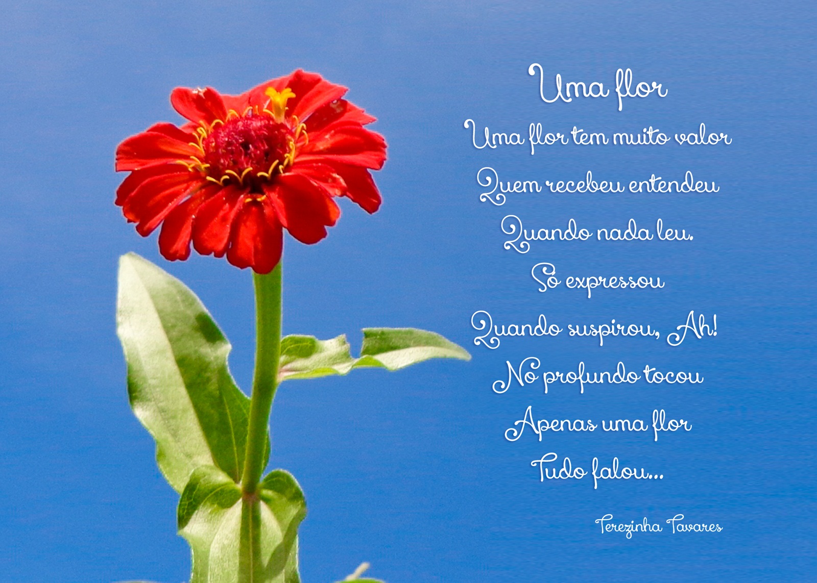 Terezinha Tavares Poema Uma flor