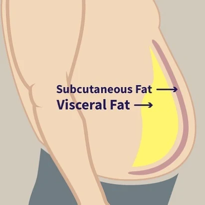 the difference between visceral fat and subcutaneous fat