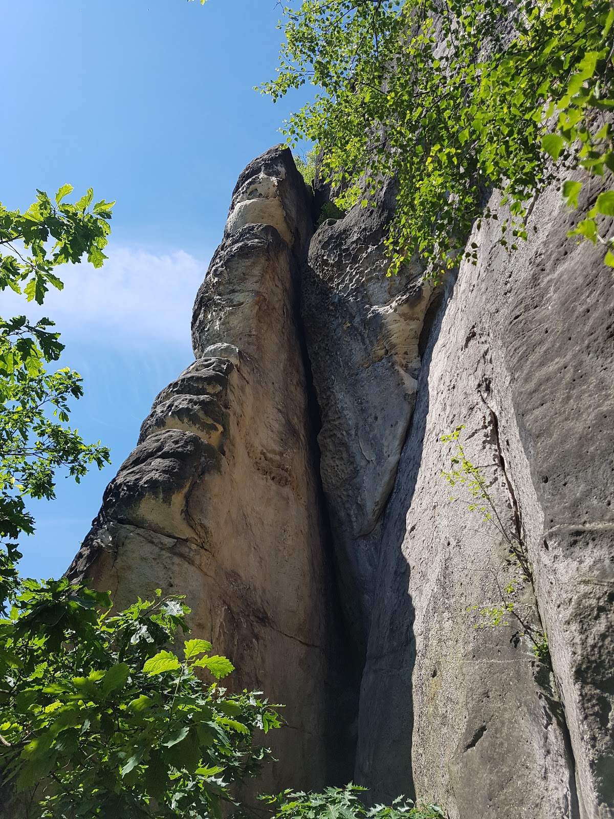 Der Baernfelser Und Die Seinen August 2015