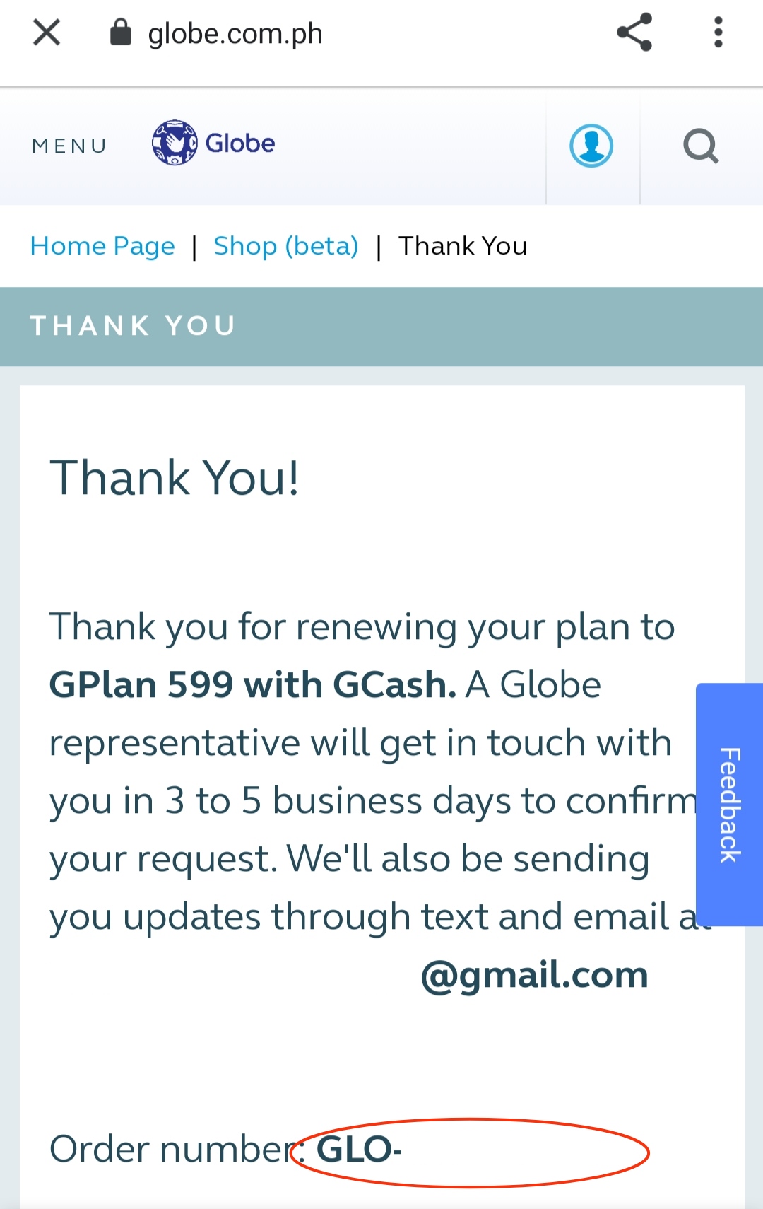 globe business plan 599