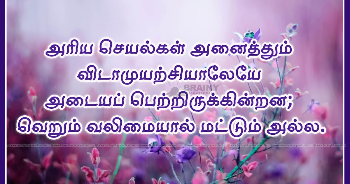 Best Tamil Inspiring Life Stories Quotations Taughts and Sayings with ...