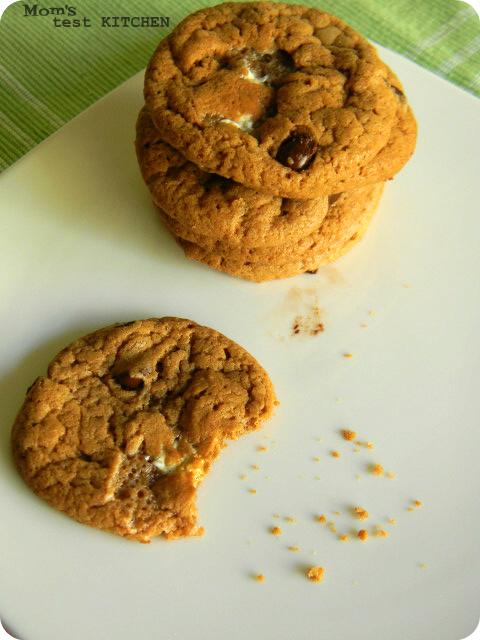 Mom's Test Kitchen: Hot Cocoa Cookies