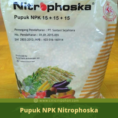 Ciri Ciri Pohon Pupuk NPK Nitrophoska