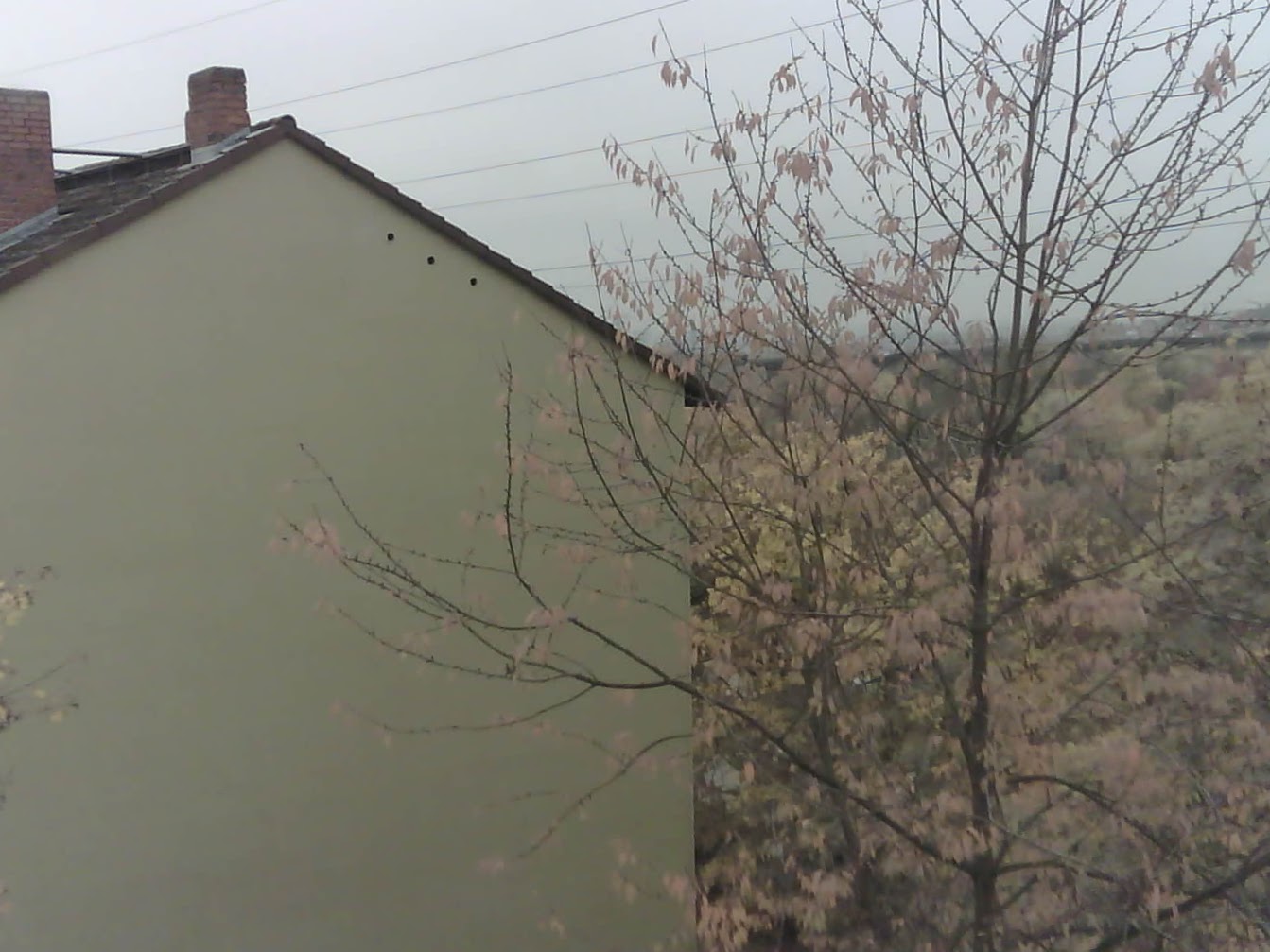 katzenjens' TechnikBlog ESP32CAM IR Filter entfernen