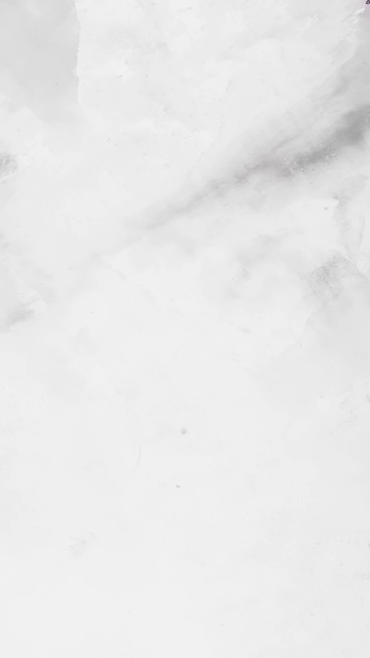 Hình nền Hai Khung ảnh Trống Màu Trắng Với Bóng Trong Suốt Của Lá Nhiệt đới Ảnh  Nền Lý Lịch Máy Tính Bị Lỗi Lá Cây Background Vector để tải xuống miễn