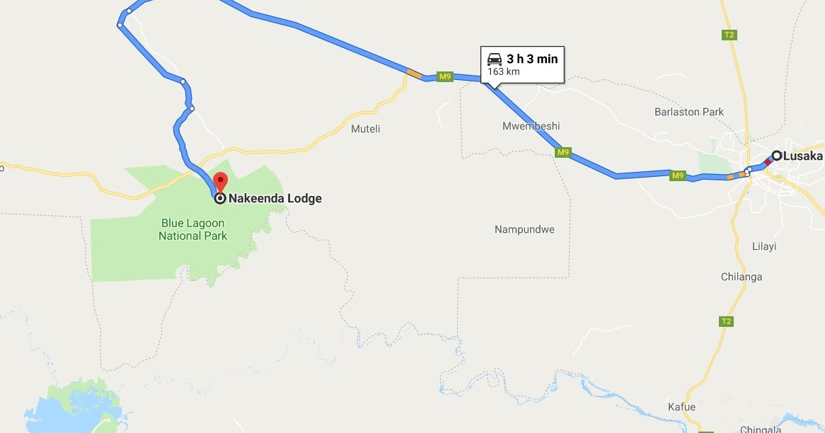 Beilfussian Adventures in Zambia Blue Lagoon National Park