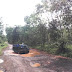  Jalan Poros Kecamatan Tulung Selapan Rusak dan Berlobang 