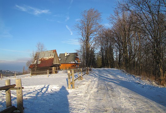 Wierzchołek Wierch Grapa (973 m n.p.m.).