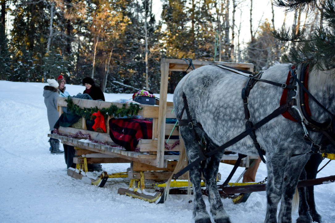Meet the Ashes South Dakota Sleigh Ride