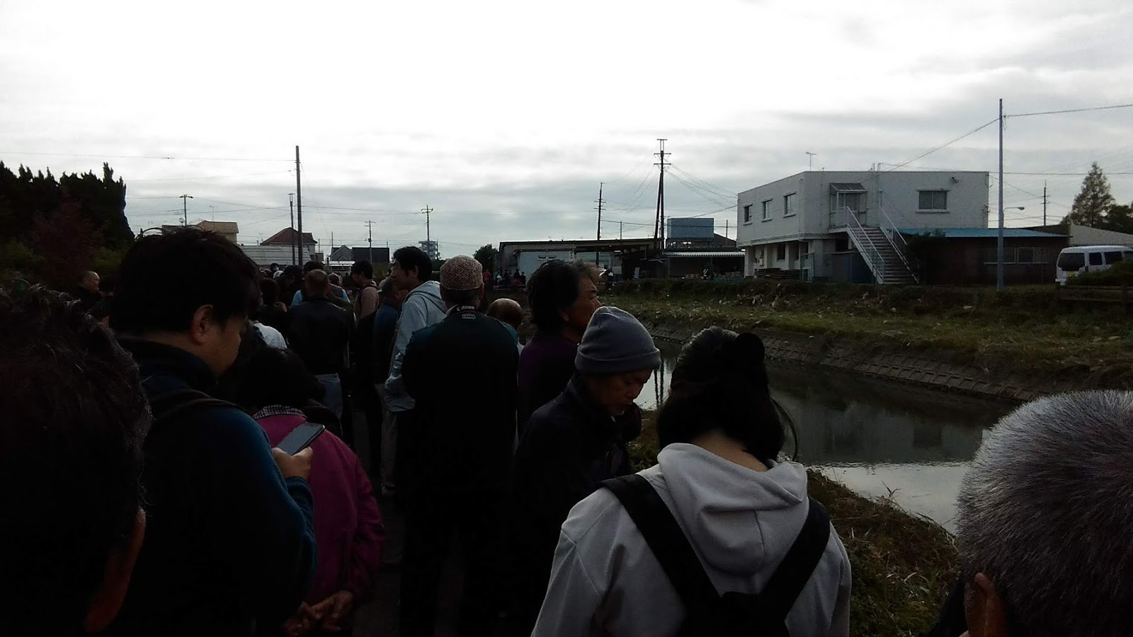 金魚とビオトープのブログ