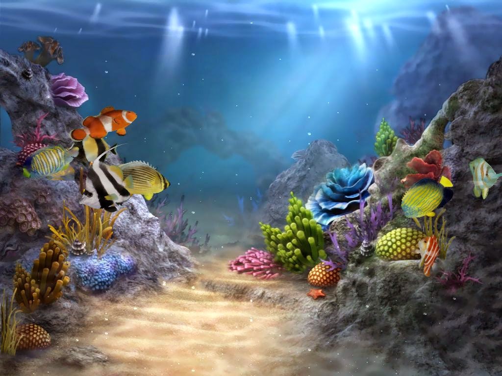 Lovely Undersea Wallpaper ~ Tagspice