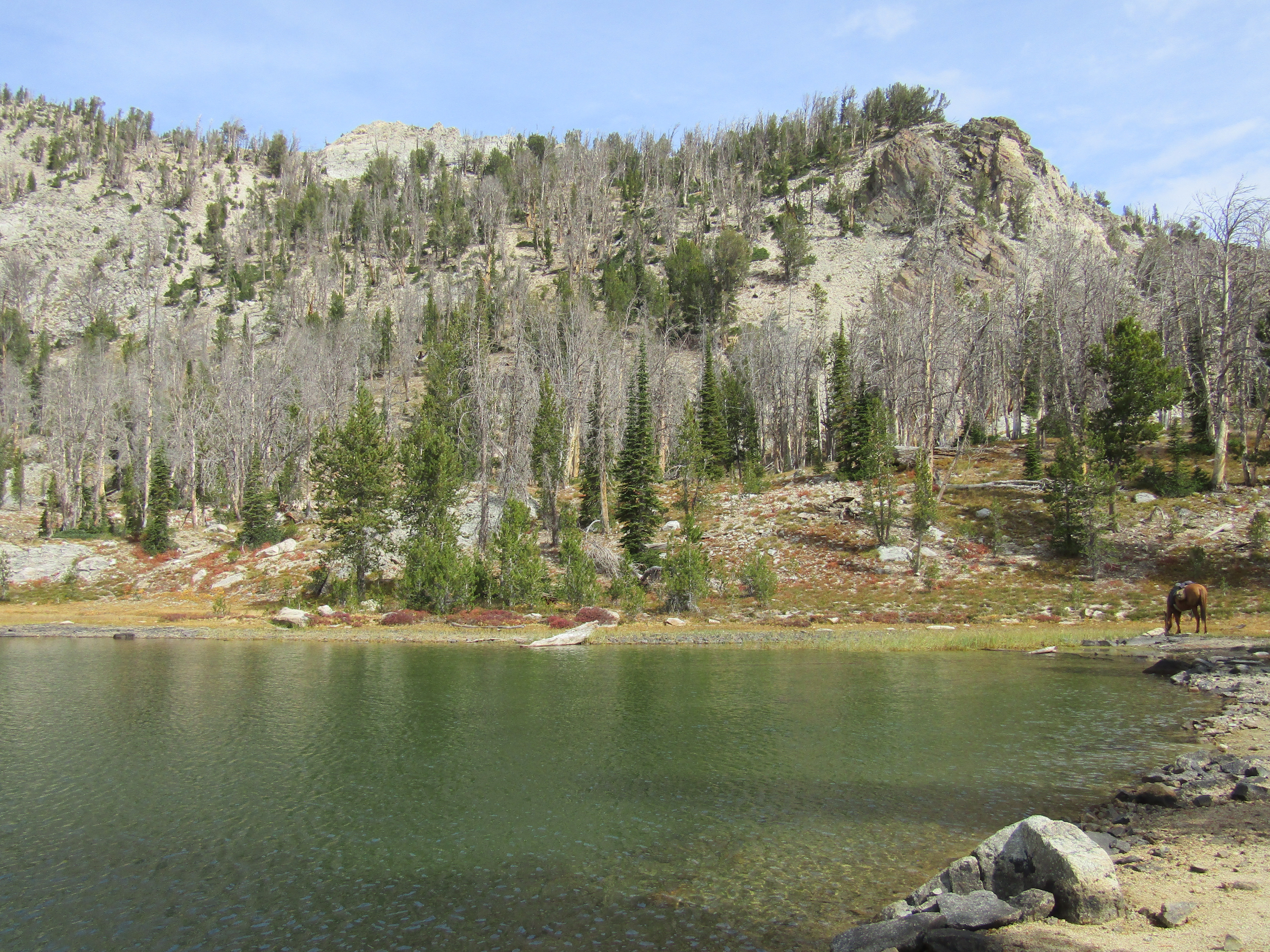 Holly's Horse Tales and Trails Tin Cup, Decker Flat, Iron Creek and